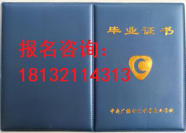 電大中?？荚囋趺崔k